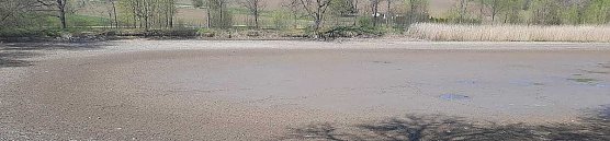 Beim Hammateich kommt Bewegung rein (Foto: Karl-Heinz Herrmann)