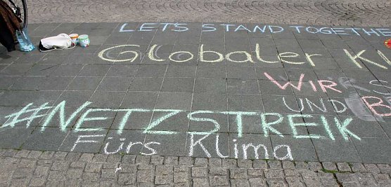 Internetaktion Fridays for Future (Foto: Karl-Heinz Herrmann)