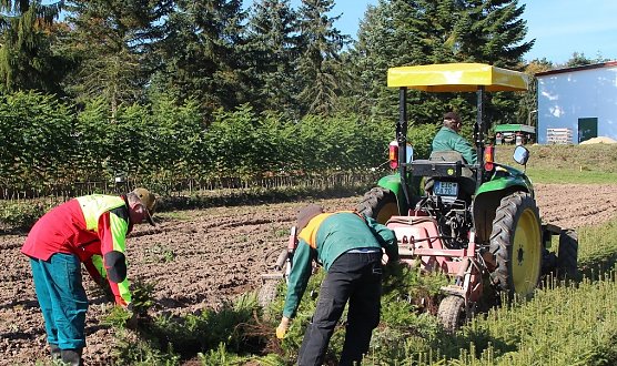 Baumschule  (Foto: Th&uuml;ringenForst)