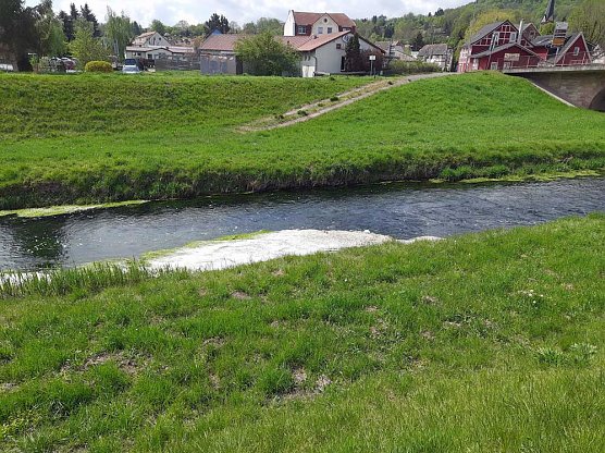Harmlose Erscheinung (Foto: Karl-Heinz Herrmann)