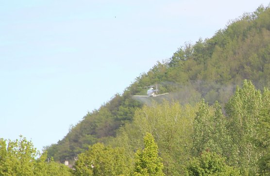 Schwammspinnerbek&auml;mpfung aus der Luft (Foto: Th&uuml;ringenForst)