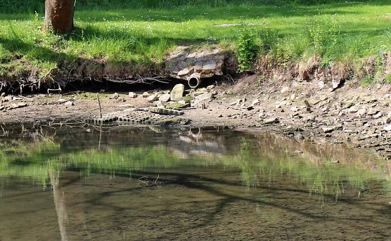 Den Parkteichen von Sondershausen fehlt (e) das Wasser (Foto: Karl-Heinz Herrmann)