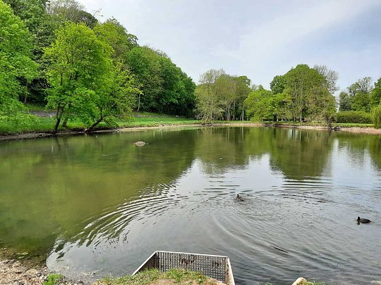 Kleiner Parkteich f&uuml;llt sich wieder (Foto: Karl-Heinz Herrmann)