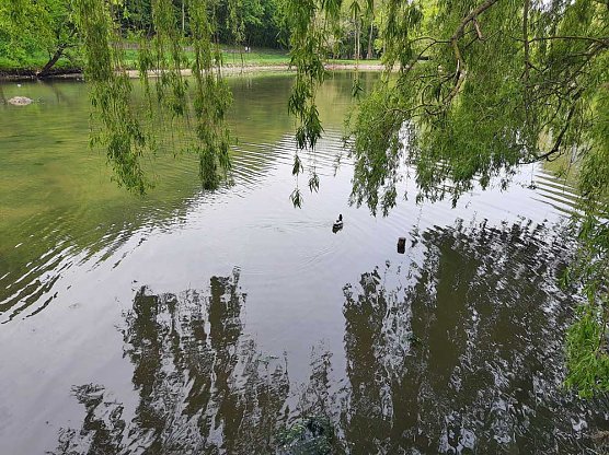 Kleiner Parkteich f&uuml;llt sich wieder (Foto: Karl-Heinz Herrmann)
