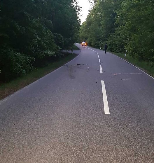 Rehe gegen Pkw (Foto: Silvio Dietzel)