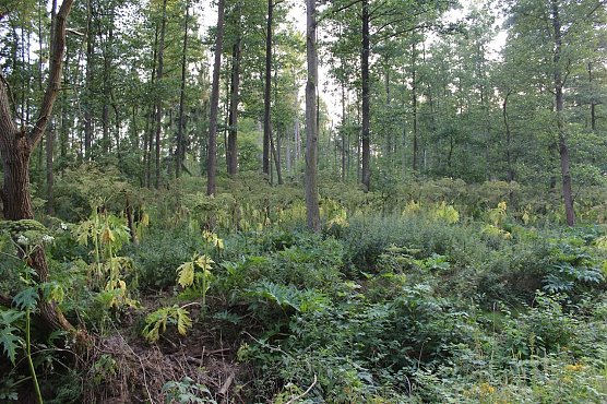 Warnungen in der Wind geschlagen (Foto: Karl-Heinz Herrmann)