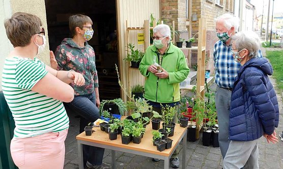 Dieses war der sechste Streich �  Corona zum Trotz! (Foto: Peter Zimmer)