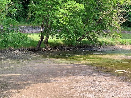 Aussp&uuml;lung am Ufer des Kleinen Parkteichs (Foto: Stiftung Th&uuml;ringer Schl&ouml;sser und G&auml;rten, Manuel Mucha)