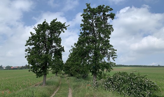 Bei Nordhausen (Foto: oas)