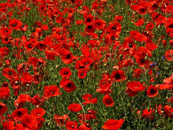 Wetterbild (Foto: Peter Blei)