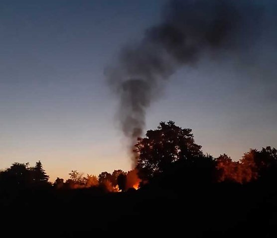 Nicht angemeldetes Lagerfeuer (Foto: FFW Ro&szlig;leben)