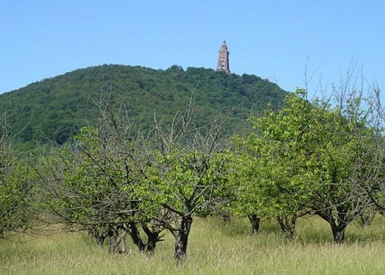Mitteldeutsche Kulturstiftung: Kyffh&auml;userdenkmal und K&ouml;nigspfalz einbeziehen? (Foto: Karl-Heinz Herrmann)