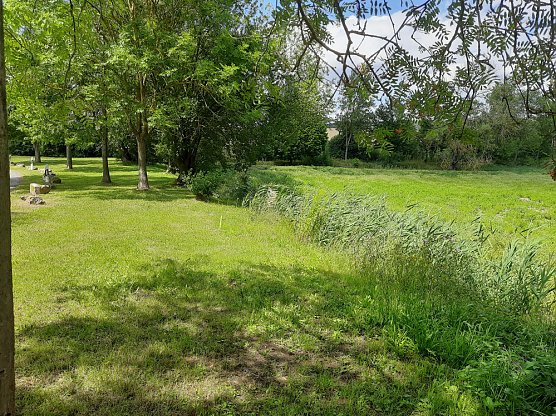 &Uuml;ber die wirklich fehlenden B&auml;nke regt sich niemand auf (Foto: privat)