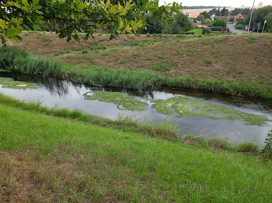 Fernsehen an der Kiesgrube und mehr (Foto: Fernsehen an der Kiesgrube und mehr)