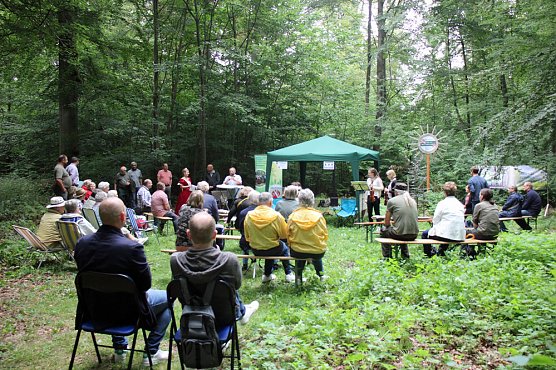 Blutbuchenk&ouml;nigin bleibt l&auml;nger im Amt (Foto: Karl-Heinz Herrmann)