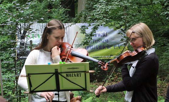 Blutbuchenk&ouml;nigin bleibt l&auml;nger im Amt (Foto: Karl-Heinz Herrmann)