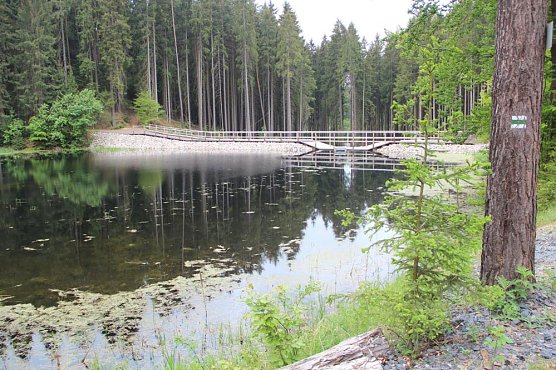Waldbrandgefahr vorl&auml;ufig gebannt (Foto: Th&uuml;ringenForst)