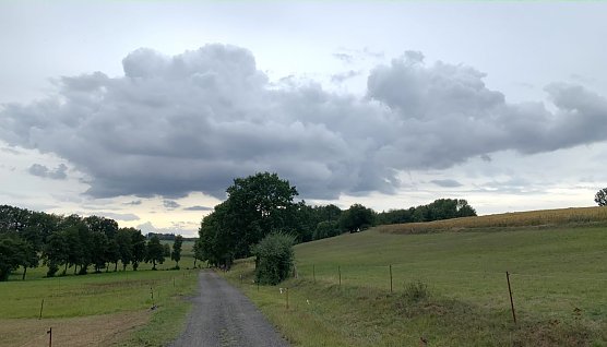 Bei Limlingerode (Foto: oas)