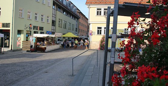 Pflanzenmarkt in Sondershausen gut besucht (Foto: Karl-Heinz Herrmann)