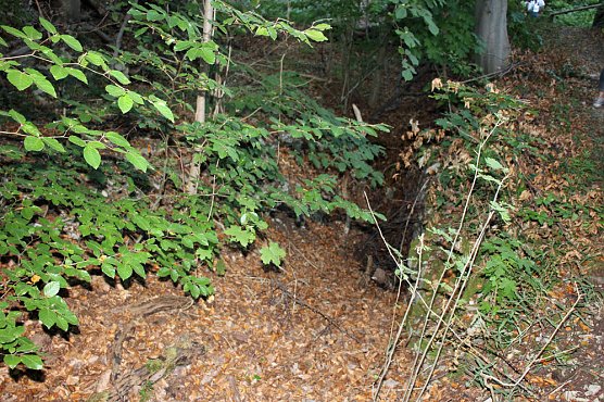 Ausflug zur renovierten Schutzh&uuml;tte (Foto: Karl-Heinz Herrmann)