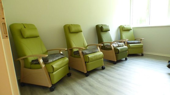 Tag der offenen T&uuml;r im Barbarossagarten (Foto: Peter M&ouml;bius)