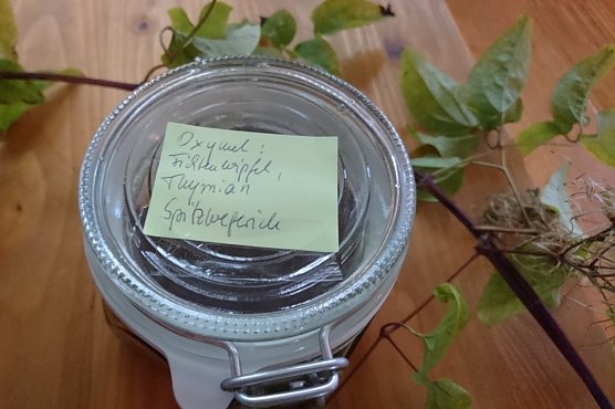 GESUNDES KOMMUNIKATIVES FR&Uuml;HST&Uuml;CK im HOC (Foto: Katrin Sieber)