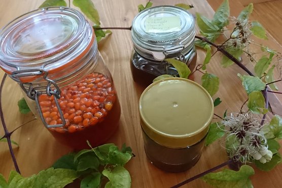 GESUNDES KOMMUNIKATIVES FR&Uuml;HST&Uuml;CK im HOC (Foto: Katrin Sieber)