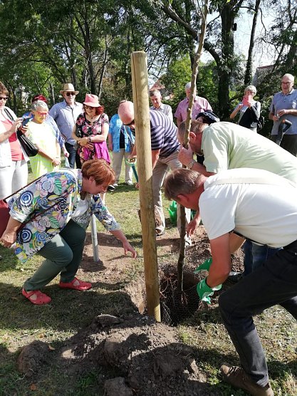 Goldenes Abitur 2020 (Abiturjahrgang 1966-1970) (Foto: Frau M&auml;der)