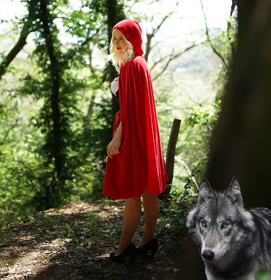 Ausstellung aus Schokolade "Rotk&auml;ppchen und der Wolf" (Foto: Karin Finger)