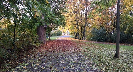 Im Stadtpark Nordhausen (Foto: emw)