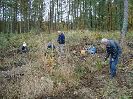 B&auml;ume pflanzen f&uuml;r den Klimaschutz (Foto: Steffen Eisfeld)