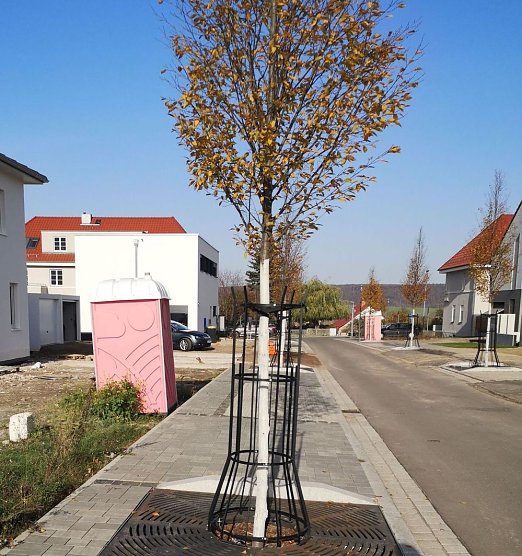 Barrierefreiheit in Sondershausen fehlt immer noch an vielen Stellen (Foto: Thomas Leipold)