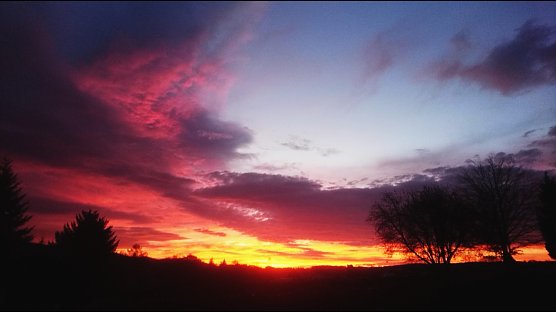 Sonnenaufgang bei Neustadt (Foto: C.Burkert)