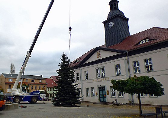 Weihnachtsmeldungen aktuell (Foto: Peter M&ouml;bius)