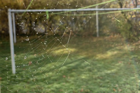 Herbststimmung (Foto: oas)