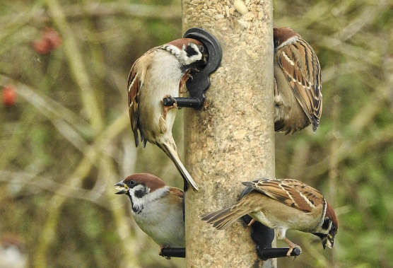 Futtersilo (Foto: Arne von Brill)