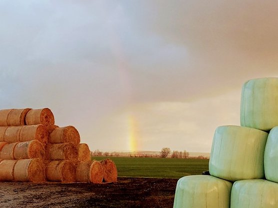 Foto aus Seehausen (Foto: Ortsteilb&uuml;rgermeisterin Kerstin Hesse)