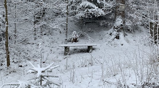 Winteridyll bei Benneckenstein (Foto: oas) Winteridyll bei Benneckenstein (Foto: oas)