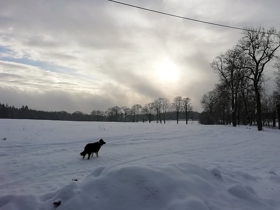 Im oberen Harz (Foto: W.Jörgens) Im oberen Harz (Foto: W.Jörgens)