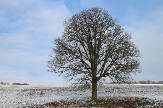 Wetterbild (Foto: agl) Wetterbild (Foto: agl)