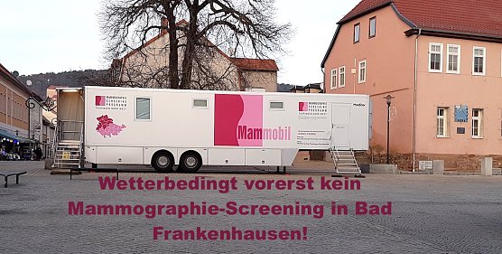 Mammobil  (Foto: Peggy Rauche)