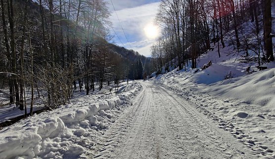 Im Brandesbachtal (Foto: P.Blei)
