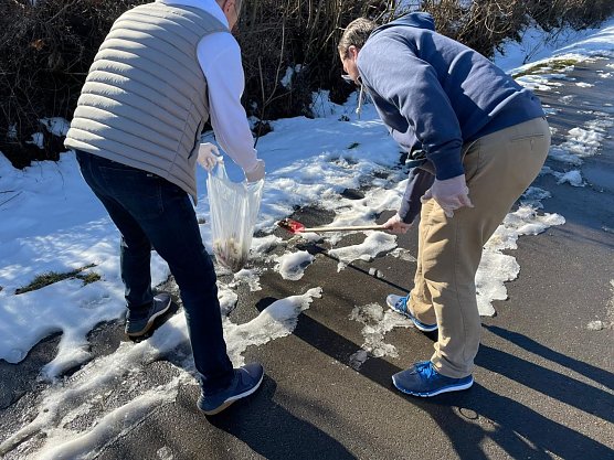 Beseitigen Hundehaufen: Die Abgeordneten Schneegans, Schard und Ludwig im Einsatz (Foto: S.Dietzel) Beseitigen Hundehaufen: Die Abgeordneten Schneegans, Schard und Ludwig im Einsatz (Foto: S.Dietzel)