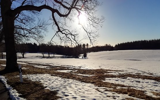 Bei Sophienhof (Foto: W.Jörgens) Bei Sophienhof (Foto: W.Jörgens)