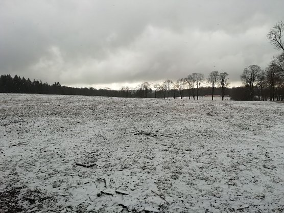 Sophienhof zeigte sich heute morgen noch einmal winterlich (Foto: W. Jörgens) Sophienhof zeigte sich heute morgen noch einmal winterlich (Foto: W. Jörgens)