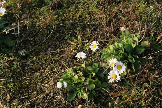 Wetterbild (Foto: agl) Wetterbild (Foto: agl)