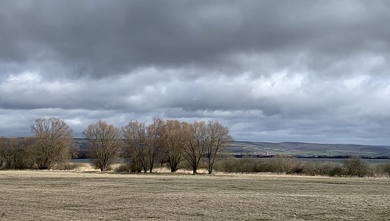 Bei Auleben (Foto: oas) Bei Auleben (Foto: oas)