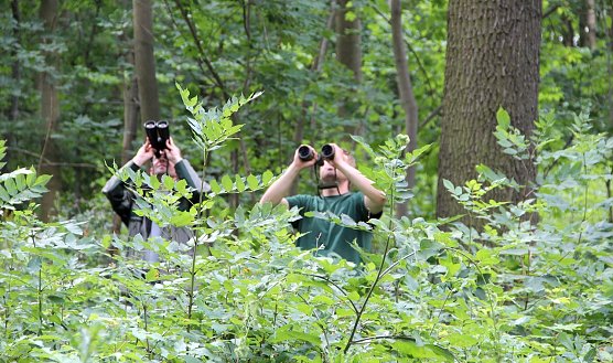 Bundeswaldinventur (Foto: ThüringenForst) Bundeswaldinventur (Foto: ThüringenForst)