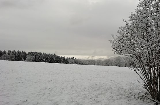 Unser letztes Winterbild - versprochen! Oberharzer Landschaft heute morgen (Foto: W.J&ouml;rgens)