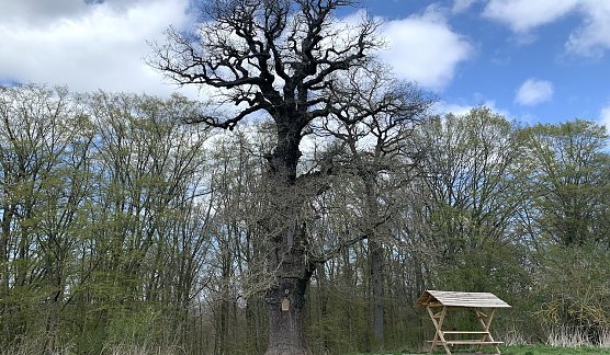 Antiquarische bei Nordhausen (Foto: oas)